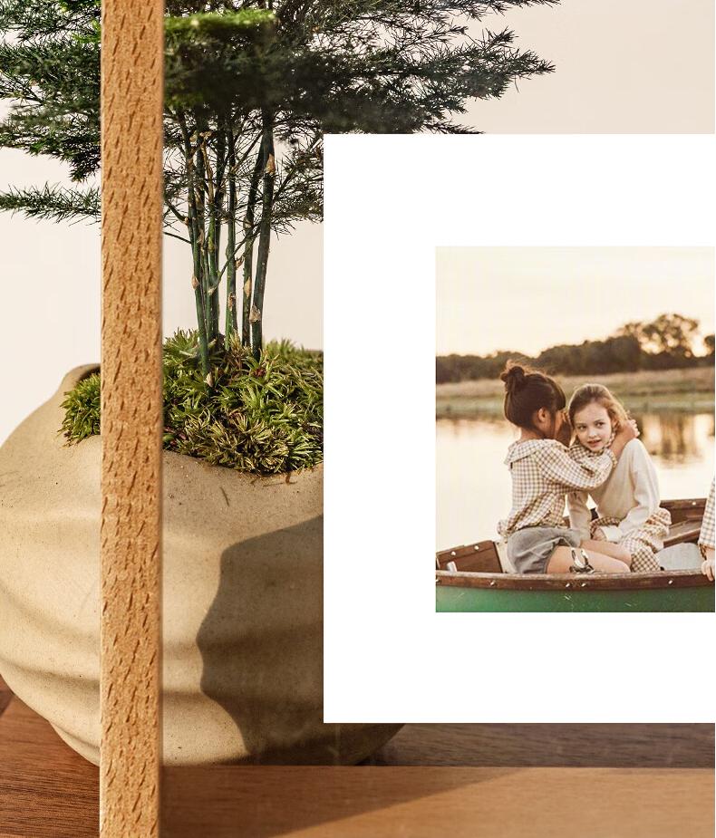 Transparent Wood Photo Frame